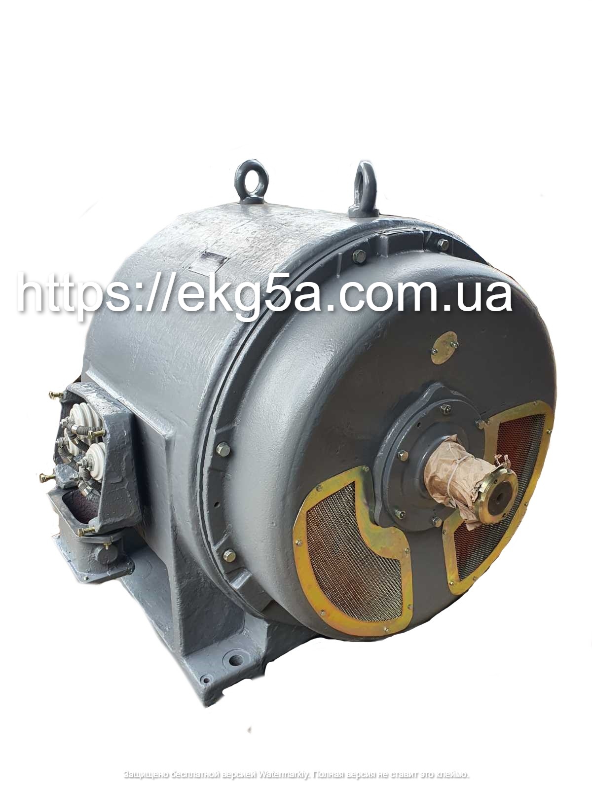 Двигатель высоковольтный АЭ -113-4У