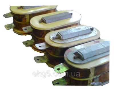 Катушка основного полюса 2ПЭМ 2000М1 200кВт