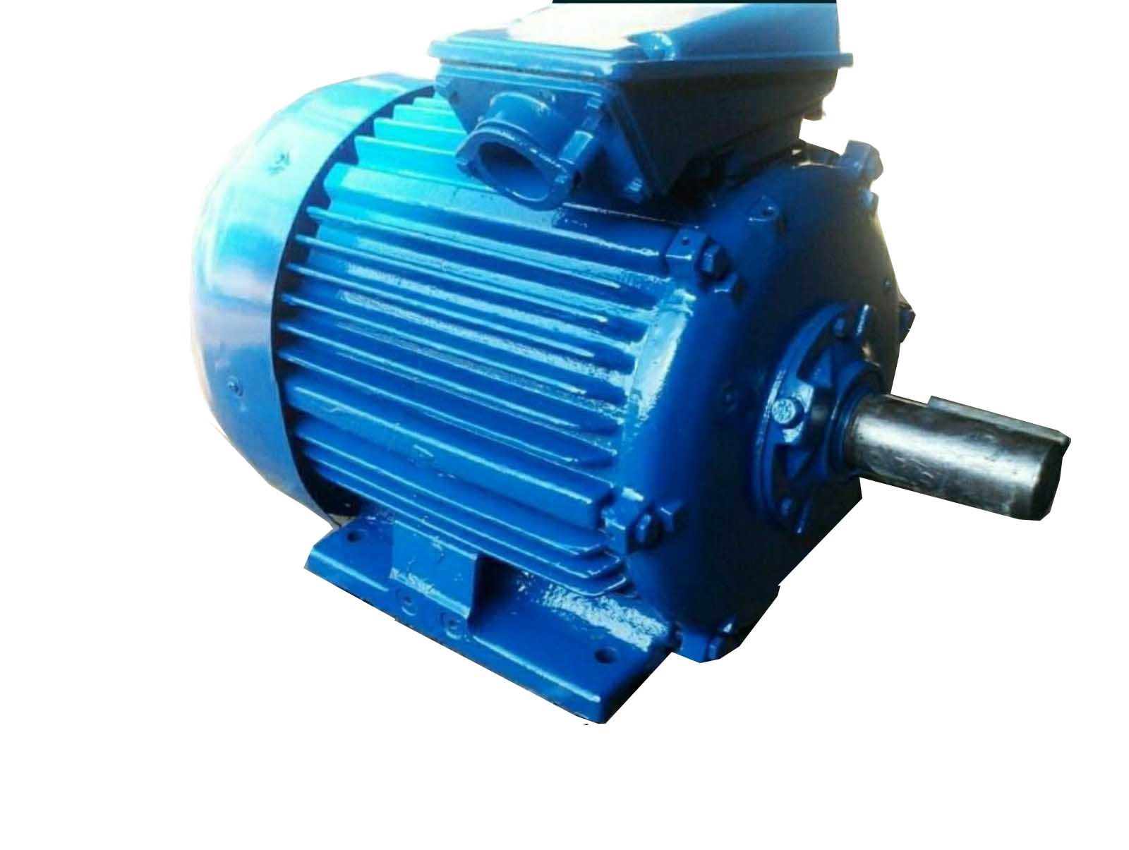 Электродвигатель 4А200М6У3_1